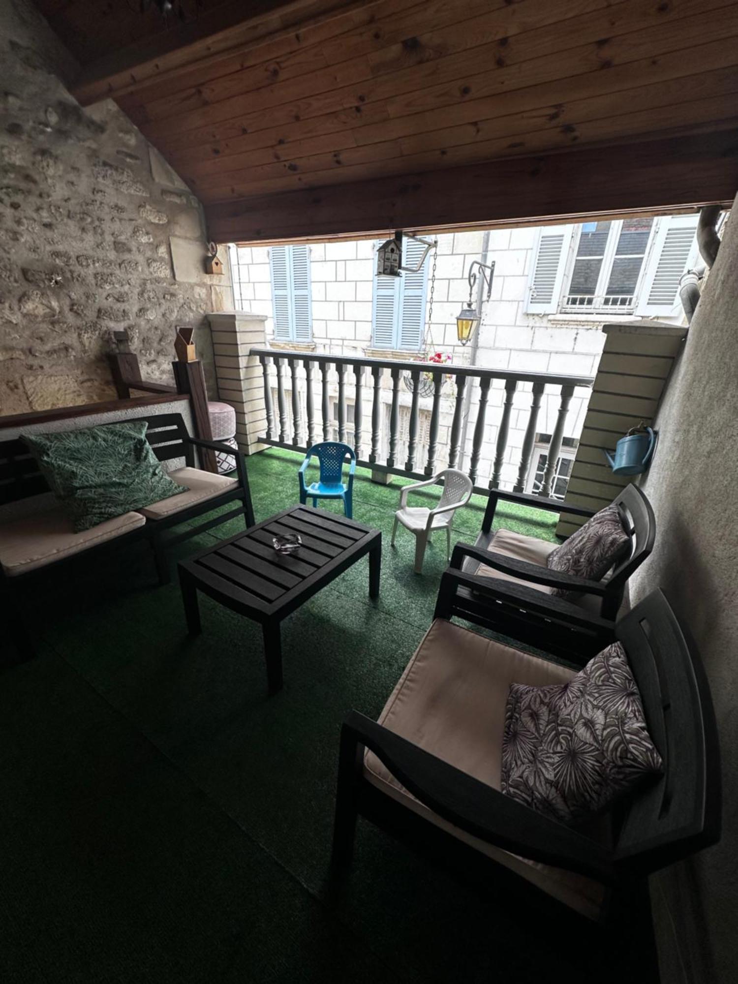 Gite Le Nid Des Zoo Zio, 5Mn Beauval, Appartement Terrasse Centre-Ville Saint-Aignan  Exterior foto